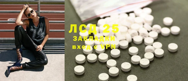 ГАЛЛЮЦИНОГЕННЫЕ ГРИБЫ Ладушкин