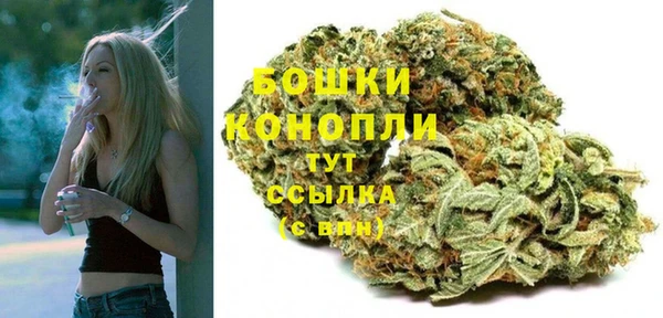 ГАЛЛЮЦИНОГЕННЫЕ ГРИБЫ Ладушкин