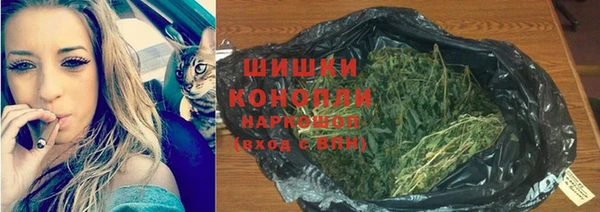 ГАЛЛЮЦИНОГЕННЫЕ ГРИБЫ Ладушкин