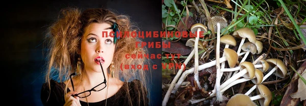 метадон Лабытнанги